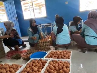 SPPG Ujung Batu Pastikan Anak Sekolah di Rohul Dapat Makanan Bergizi Berkualitas