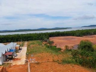 Aksi Tmbun Hutan Bakau di Tanjung Piayu Laut Lancar  Beroperasi, Pihak Berkompeten Kemana ? ?