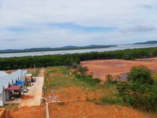 Aksi Tmbun Hutan Bakau di Tanjung Piayu Laut Lancar  Beroperasi, Pihak Berkompeten Kemana ? ?