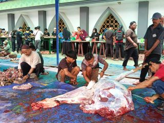 Idul Adha 1447 H, Masjid Agung AL Hikmah Tanjungpinang Sembelih 11 Ekor Sapi dan 11 Ekor Kambing