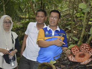 Jelajah Hutan Bersama Media, Bupati dan Wakil Bupati Angkat Potensi Ekowisata Siantan Selatan