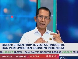 Batam Kian Dilirik Investor, Amsakar Ungkap Kunci Lonjakan Investasi