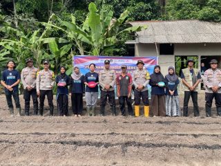 Polsek Jemaja Gandeng Mahasiswa KKN UGM Tanam Jagung Pipil Dukung Program Asta Cita