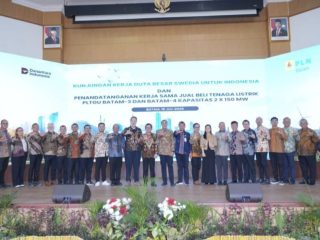 Batam Perkuat Sistem Kelistrikan, Swedia Dukung Batam Jadi Pusat Industri dan Data Center